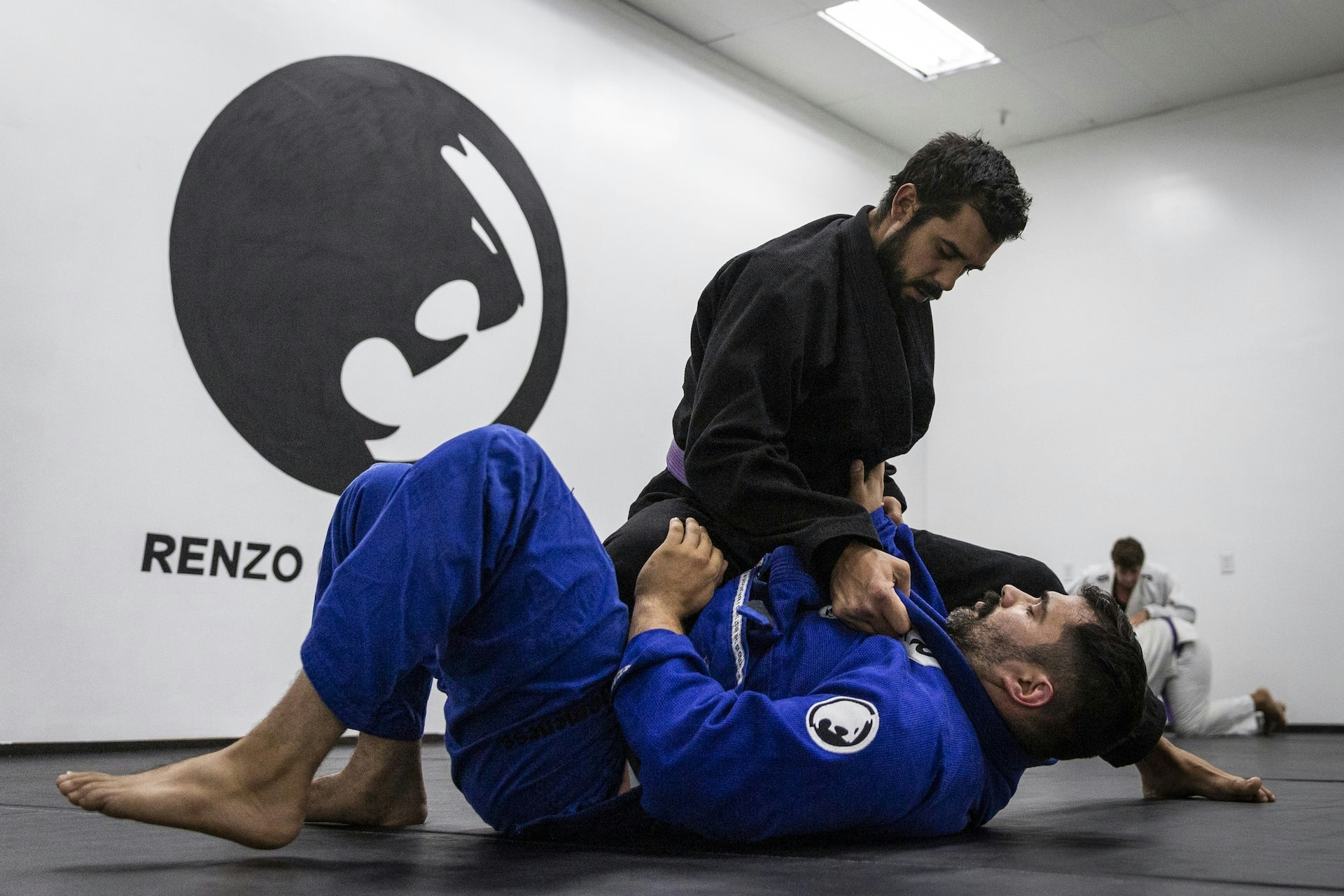 What is Brazilian Jiu-Jitsu (BJJ)? – Renzo Gracie Academy